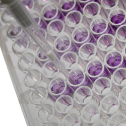 RELIABLE qPCR PERFORMANCE FROM MANUAL PIPETTING TO AUTOMATION WITH PIPETMAX qPCR WORKSTATIONS