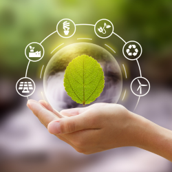 Lab Sustainability: What It Is and How to Improve It