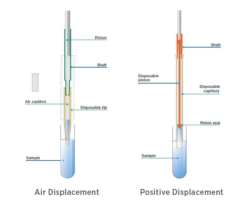 Differences between a positive-displacement pipette and air-displacement pipette