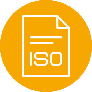 Global Network Icon